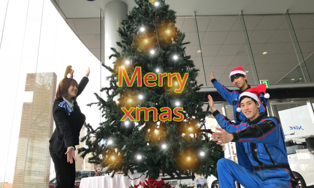 【鞍月店】クリスマスツリー設置完了＆不定期企画始めます！