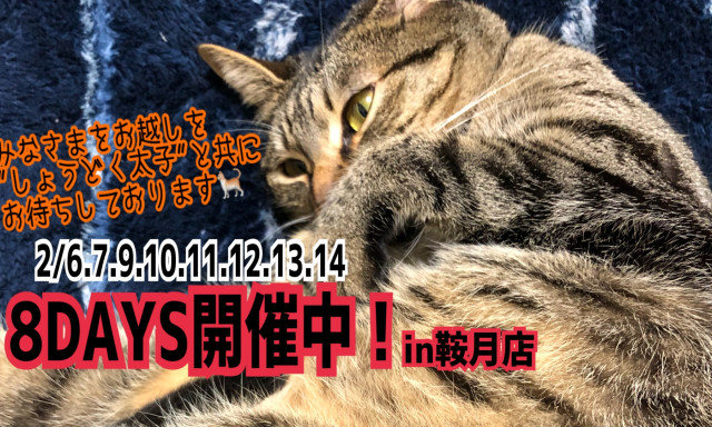 【鞍月店】情熱8DAYS開催中！"しょうどく大使"と共にお待ちしております！