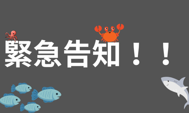 【鞍月店】緊急告知！>゜))彡