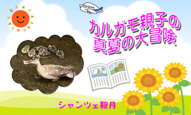 【シャンツェ鞍月】真夏の大冒険