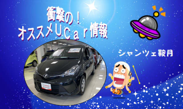 【シャンツェ鞍月】激アツ！オススメUcar情報☆