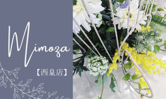 【西泉店】ミモザカラー‼