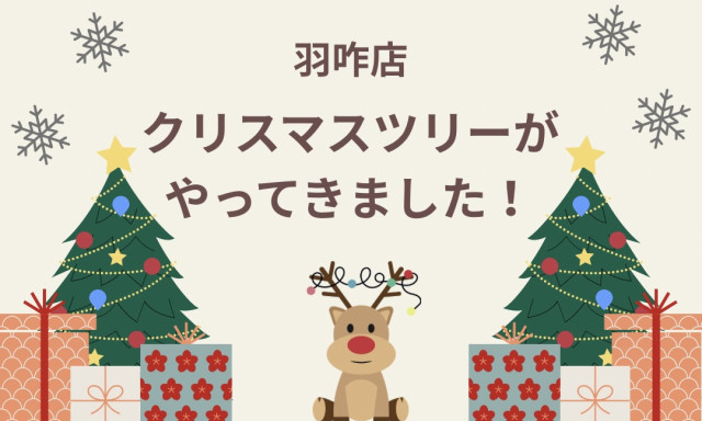 【羽咋店】クリスマスツリーがやってきました！