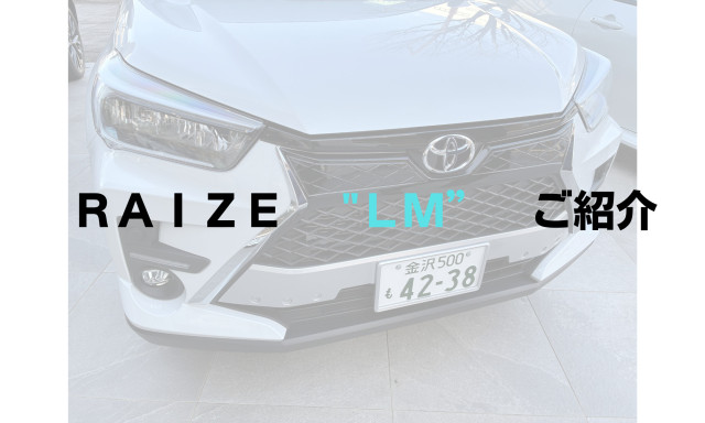 【鞍月店】RAIZE ”model LM”のご紹介