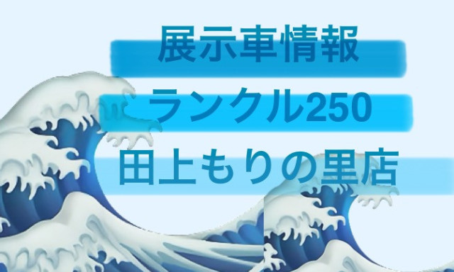 【田上もりの里店】展示車ランクル250