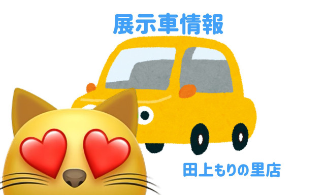 【田上もりの里店】展示車RAV4