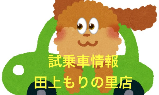 【田上もりの里店】試乗車情報車(o^―^o)ニコ