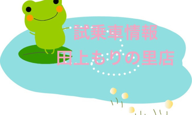 【田上もりの里店】試乗車情報
