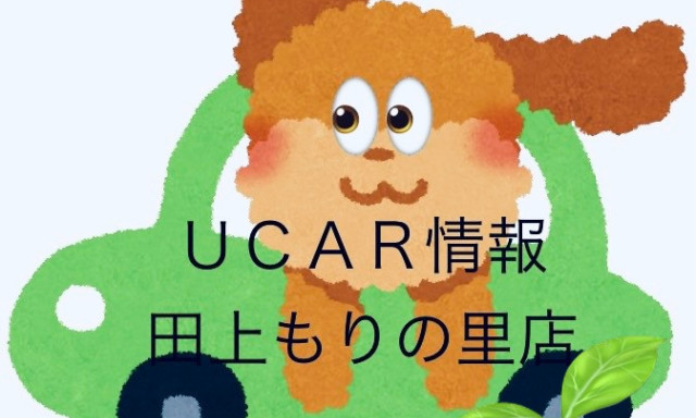 【田上もりの里店】U－CAR☆情報☆