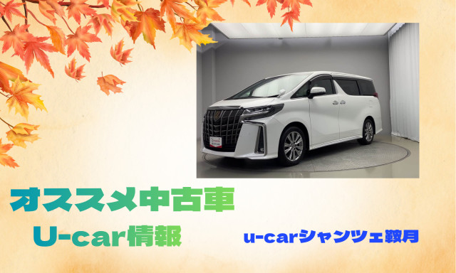 【シャンツェ鞍月】オススメUcar情報☆アルファードSタイプ紹介！