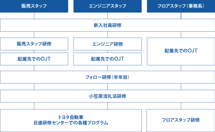 教育研修制度のフロー図